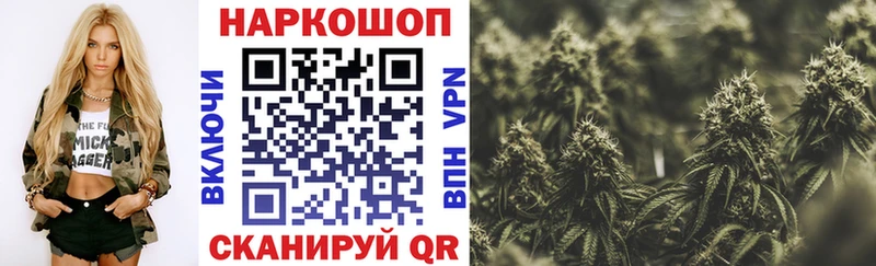 Где найти наркотики Петрозаводск СК  Мефедрон  Галлюциногенные грибы  Бошки Шишки  Бутират  Гашиш 