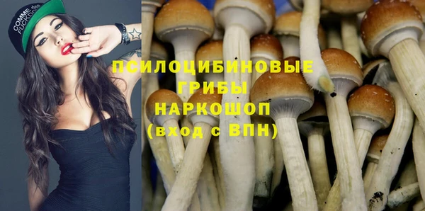 гашик Алзамай